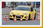 Klicken Sie auf das Bild, um es zu vergr&ouml;&szlig;ern