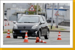 Klicken Sie auf das Bild, um es zu vergr&ouml;&szlig;ern