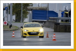 Klicken Sie auf das Bild, um es zu vergr&ouml;&szlig;ern
