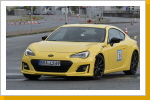 Klicken Sie auf das Bild, um es zu vergr&ouml;&szlig;ern