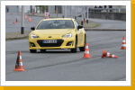 Klicken Sie auf das Bild, um es zu vergr&ouml;&szlig;ern